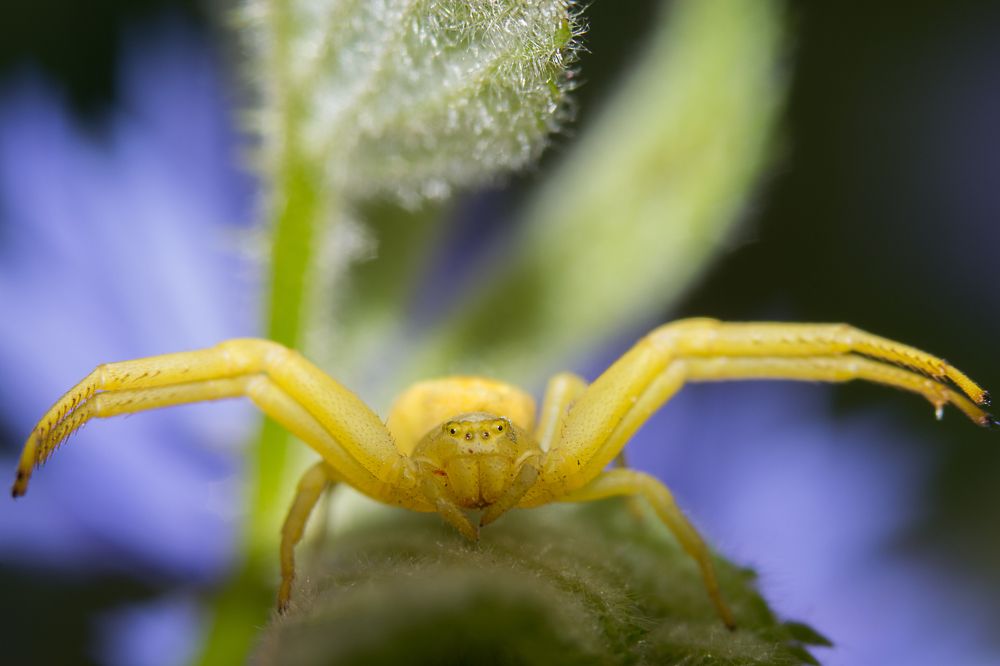 Photograph by Ольга Гоглова