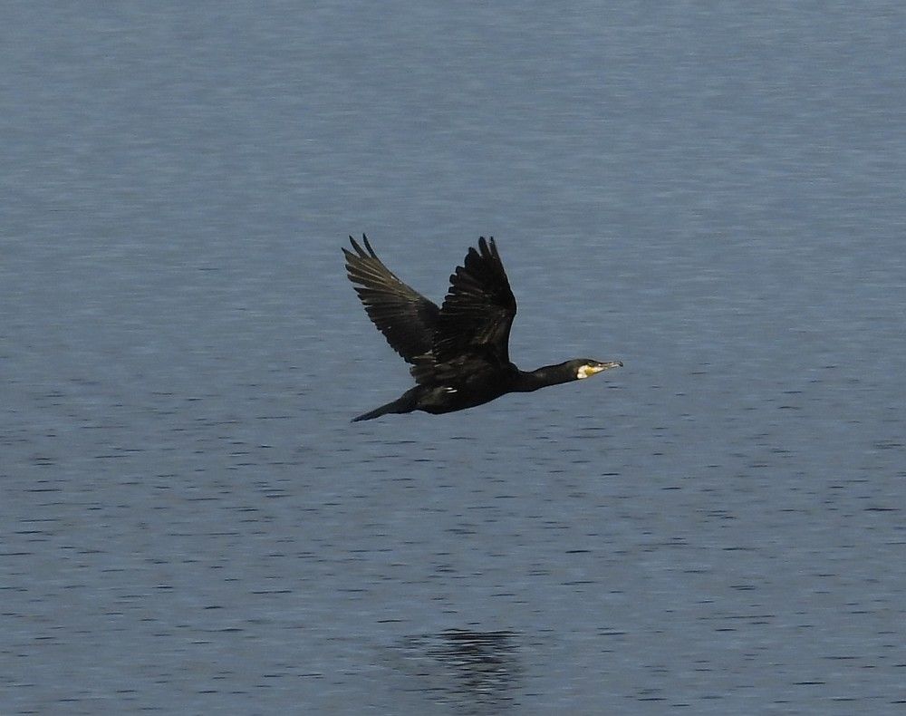 Photograph by Владимир Джерихов