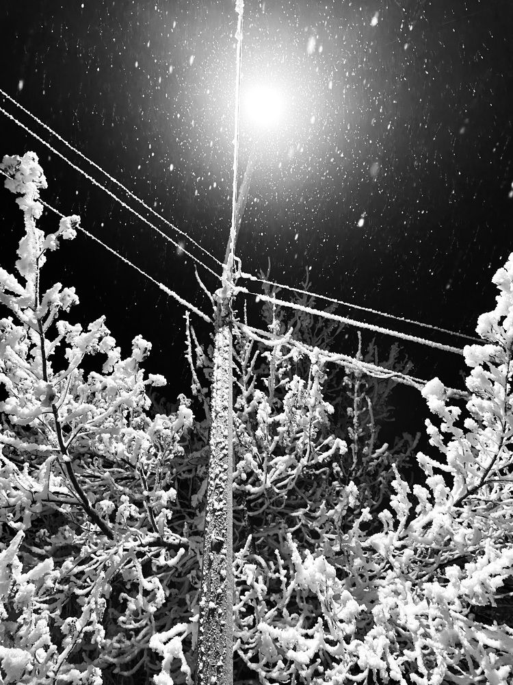 Photograph by Анастасия Милютина