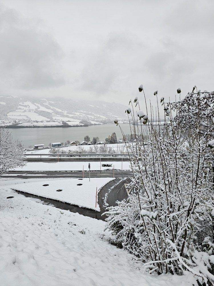 Фотография автора Elvira Minigulova