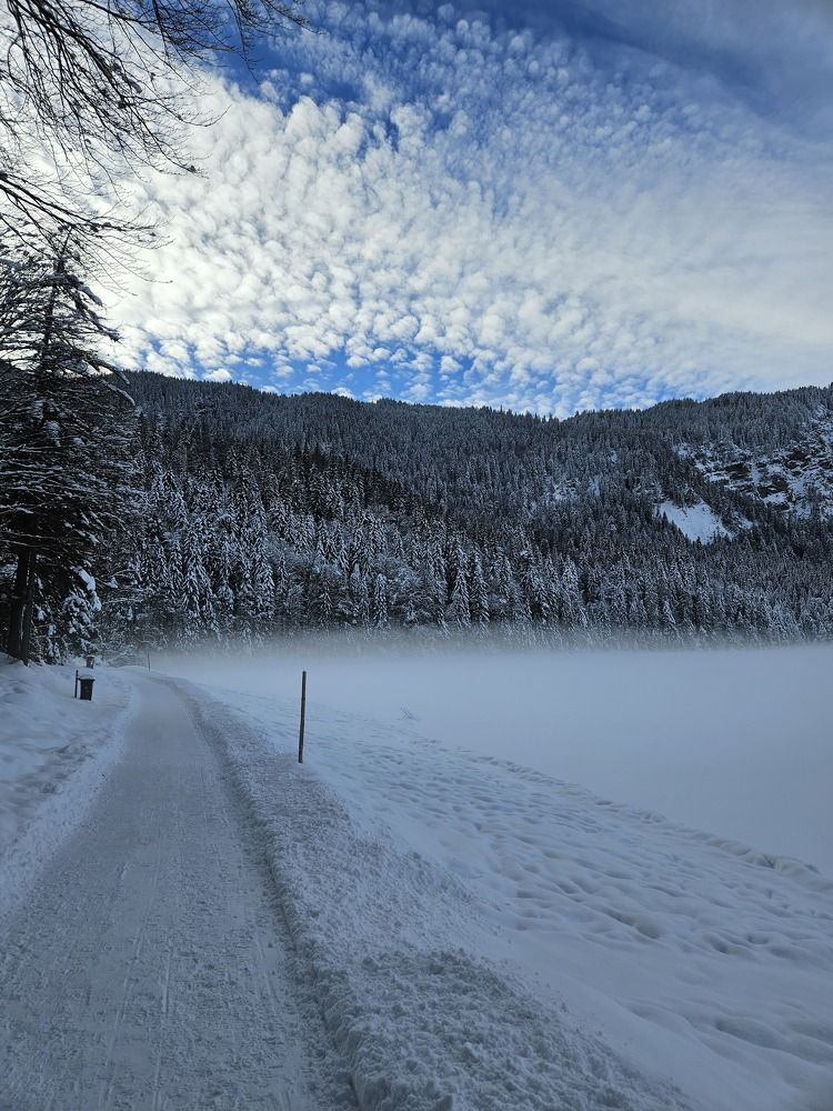 Фотография автора ANNA ILICHEVA