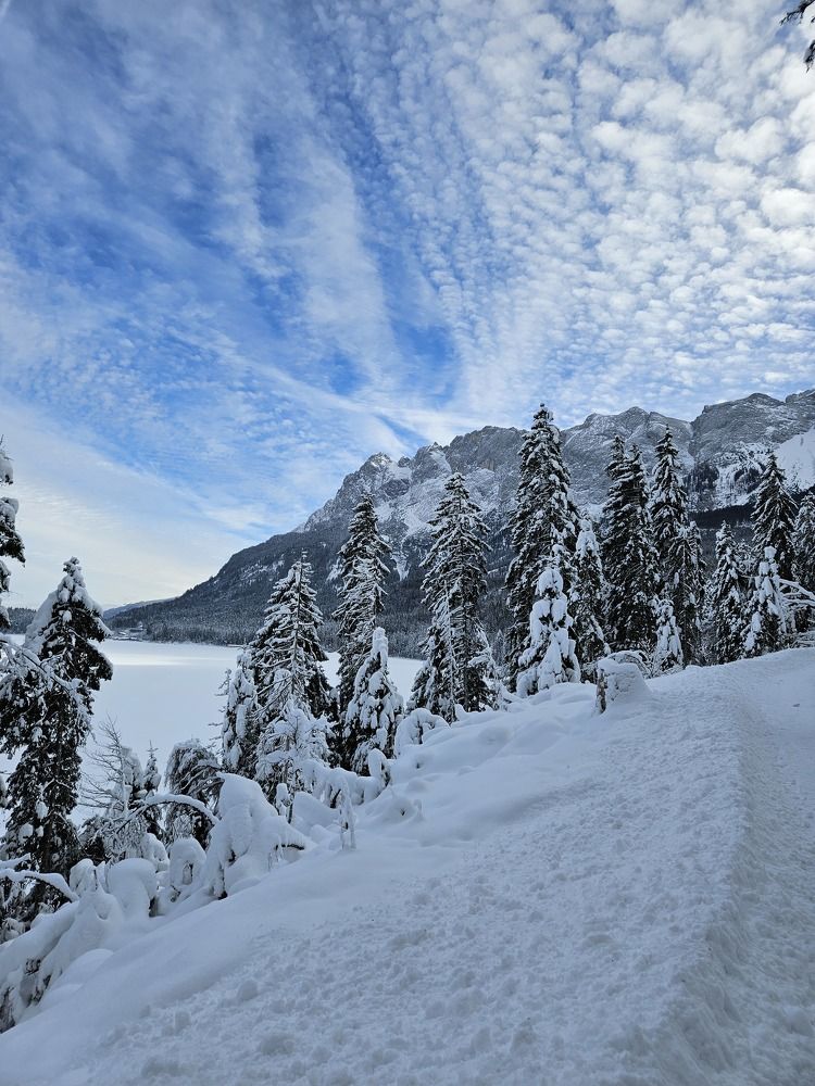 Фотография автора ANNA ILICHEVA