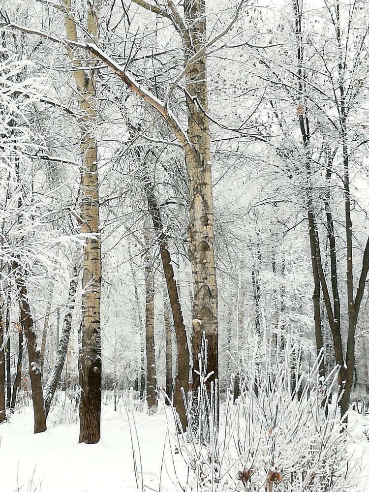 Photograph by Galina Novichkova