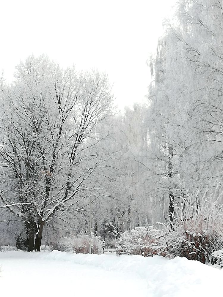 Photograph by Galina Novichkova