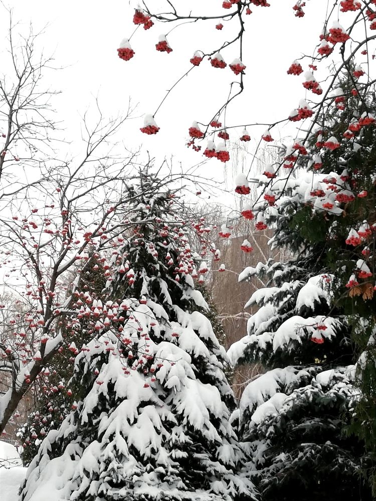 Photograph by Galina Novichkova