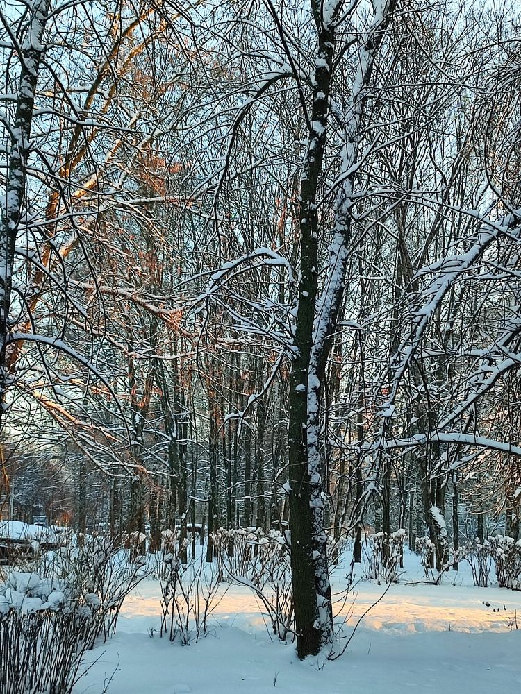 Photograph by Galina Novichkova