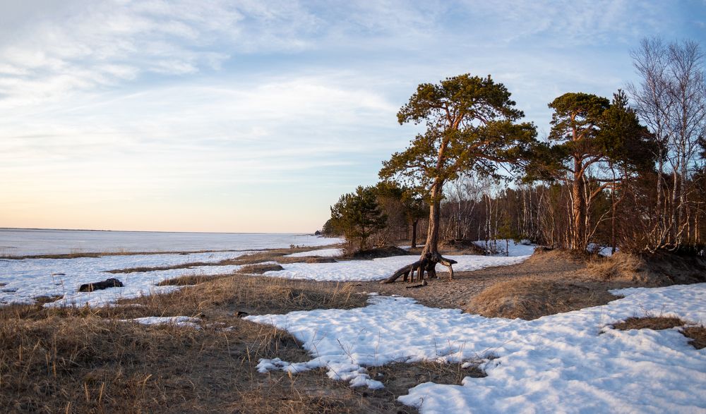 Photograph by Никита Павлов