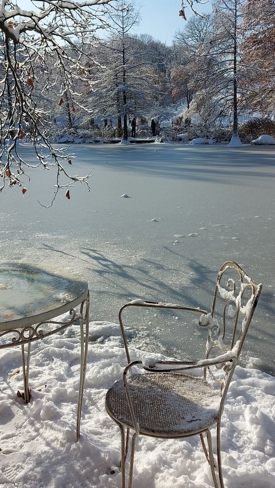 Фотография автора ANNA ILICHEVA