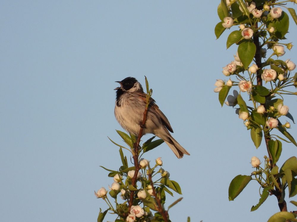 Photograph by Владимир Джерихов
