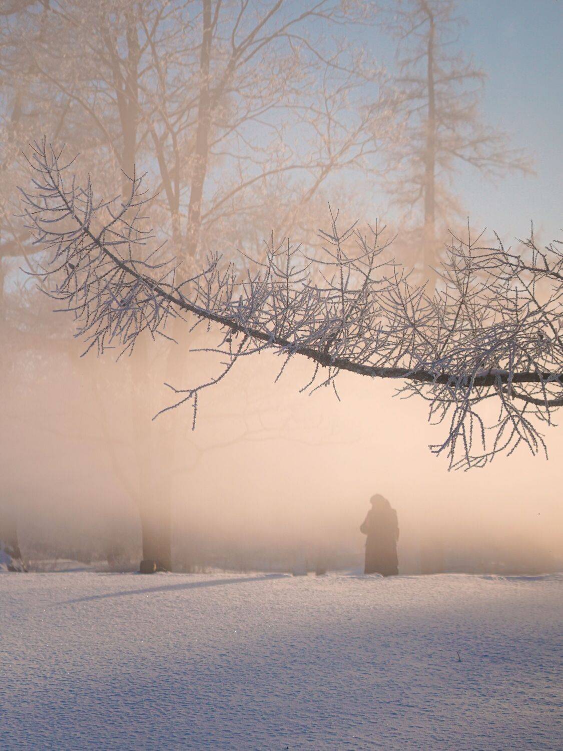 Photo #10161010
