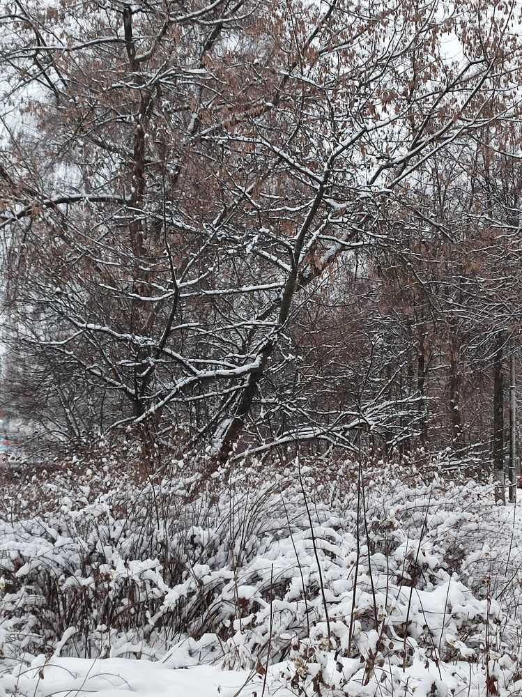 Photograph by Galina Novichkova