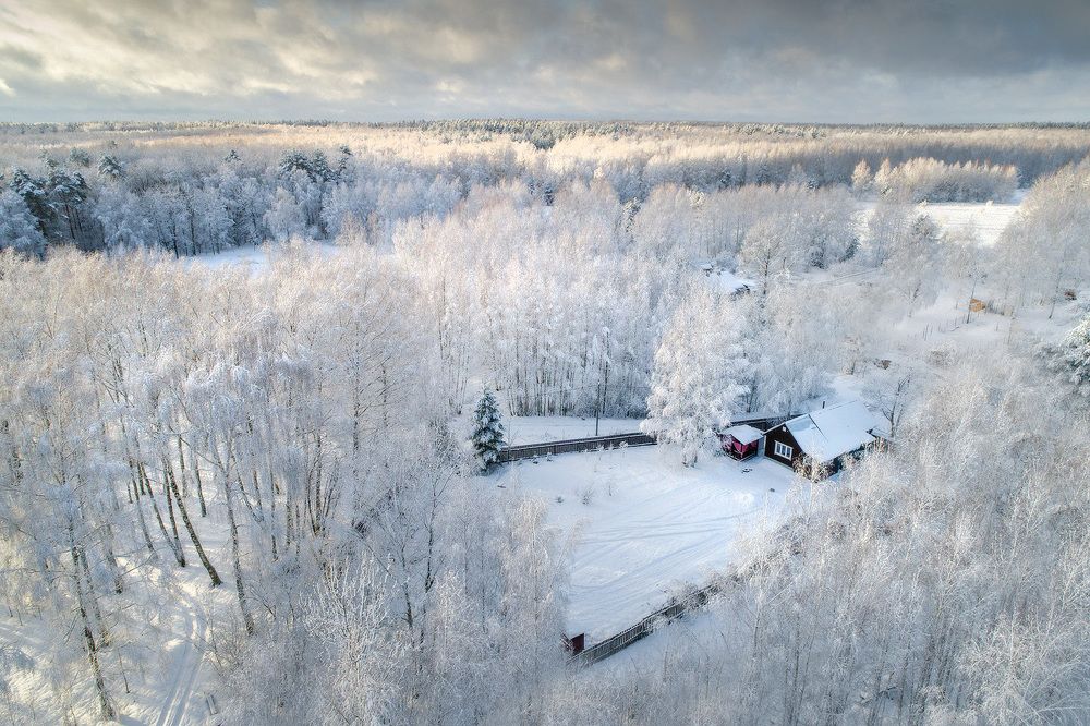 Photograph by Тябин Владислав