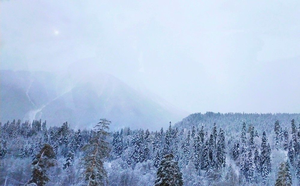 Photograph by Светлана Чужданова