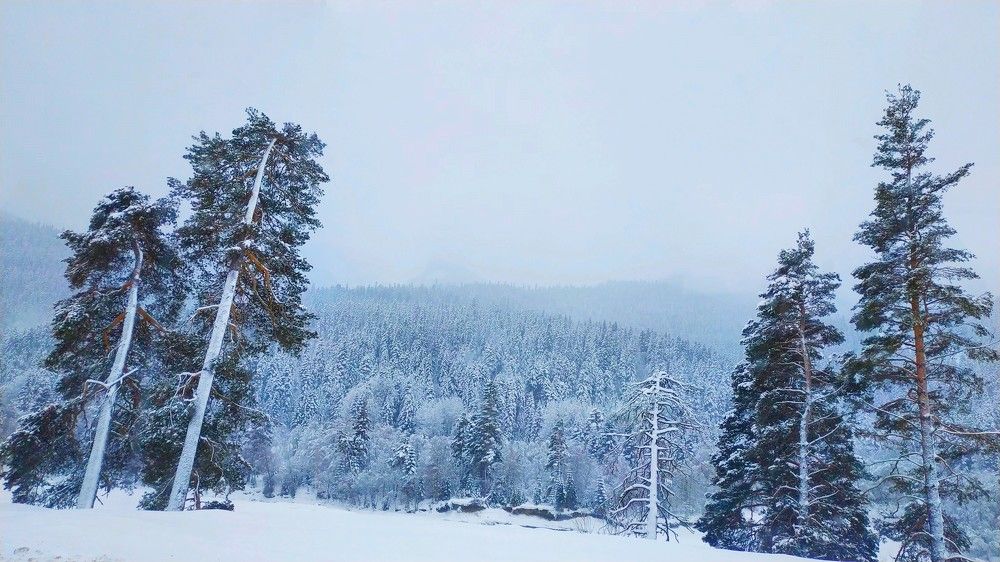 Photograph by Светлана Чужданова