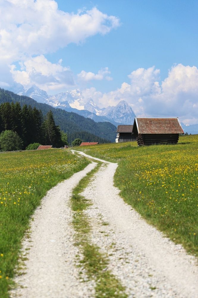 Фотография автора ANNA ILICHEVA