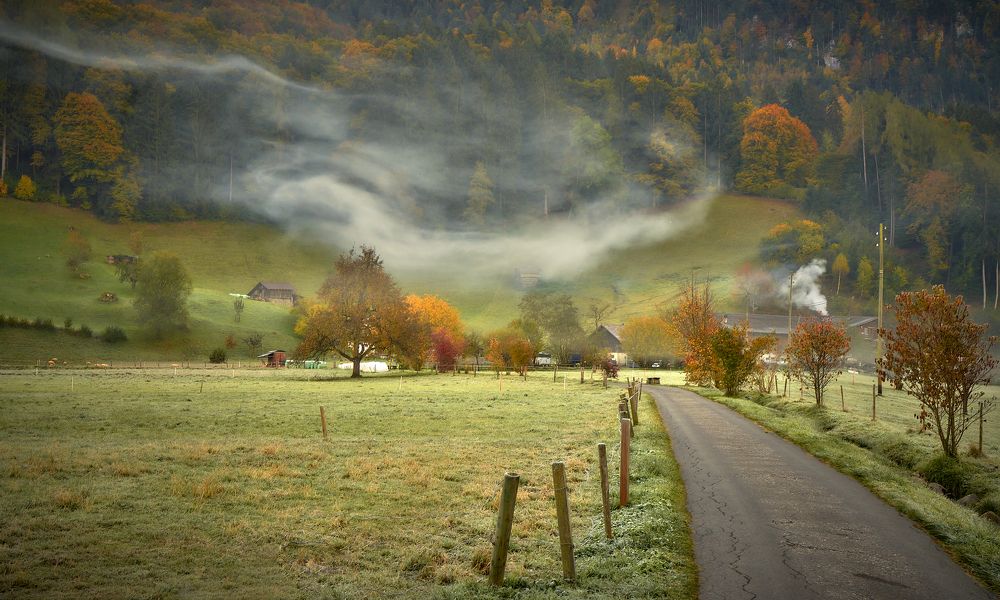 Photograph by Boris Bekelman