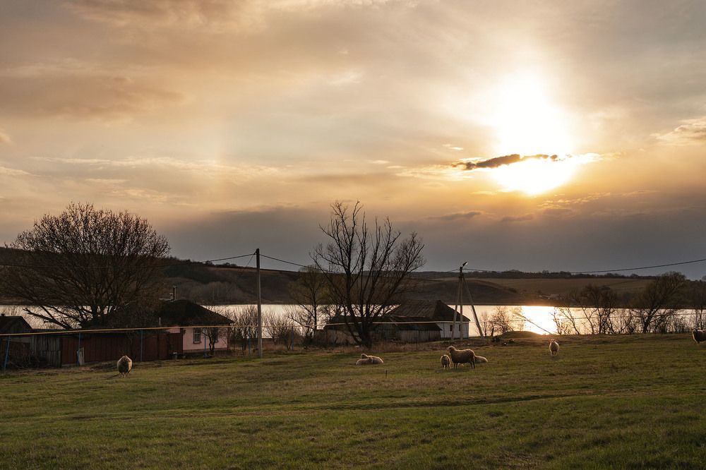 Photograph by Сергей Фадин