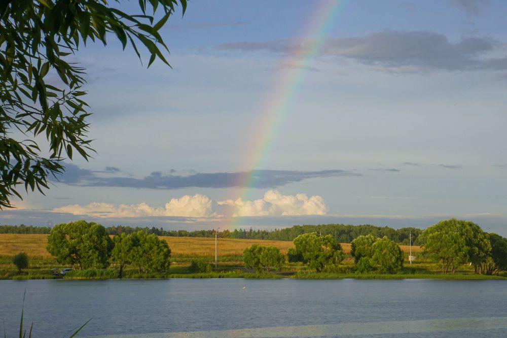 Photograph by Алфия Бугакова