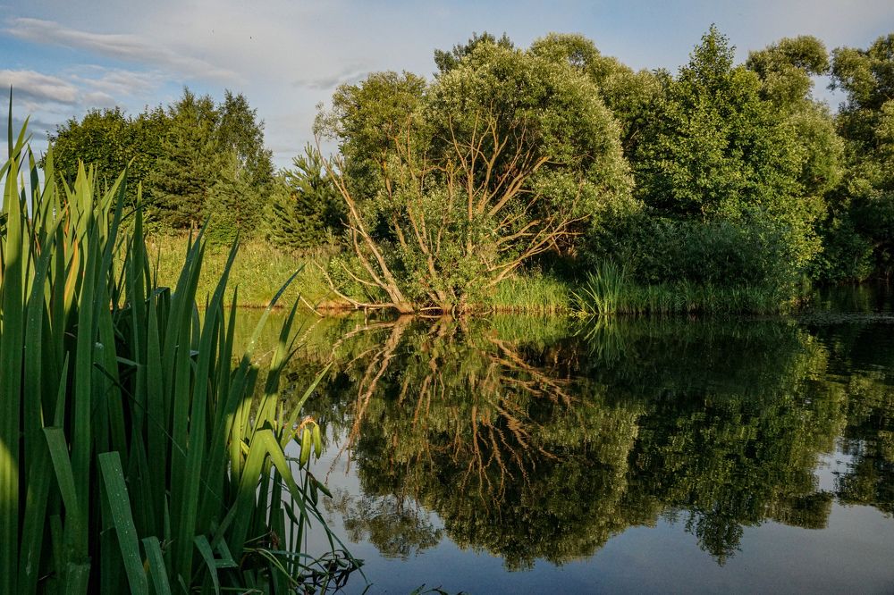 Photograph by Алфия Бугакова