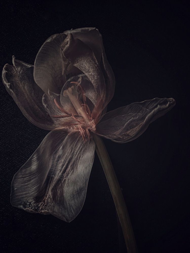 Photograph by Олена Уманцева