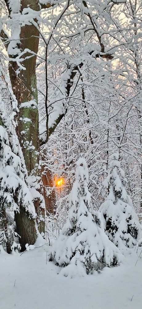 Photograph by Наталья Вялых