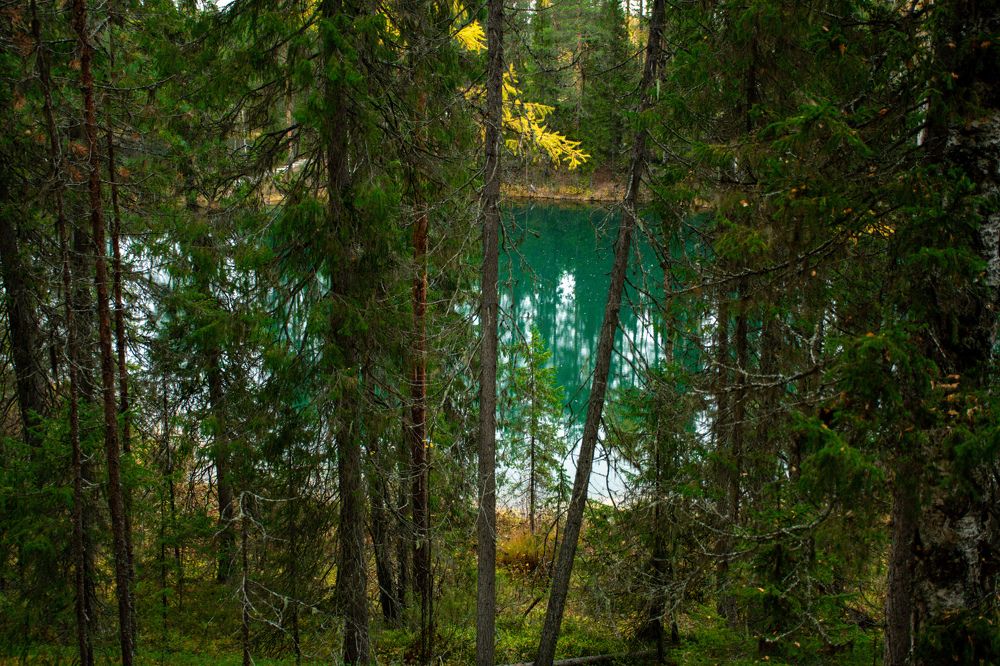 Photograph by Юлия