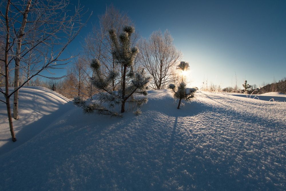 Фотография автора Юрий Кольцов