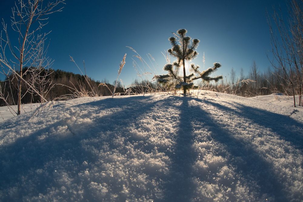Фотография автора Юрий Кольцов