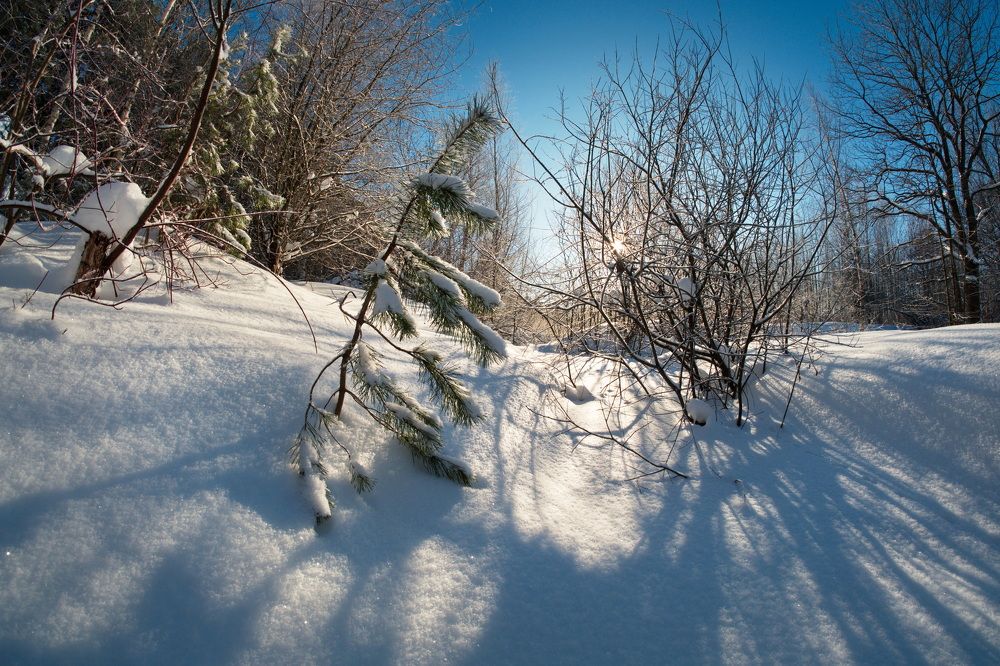 Фотография автора Юрий Кольцов