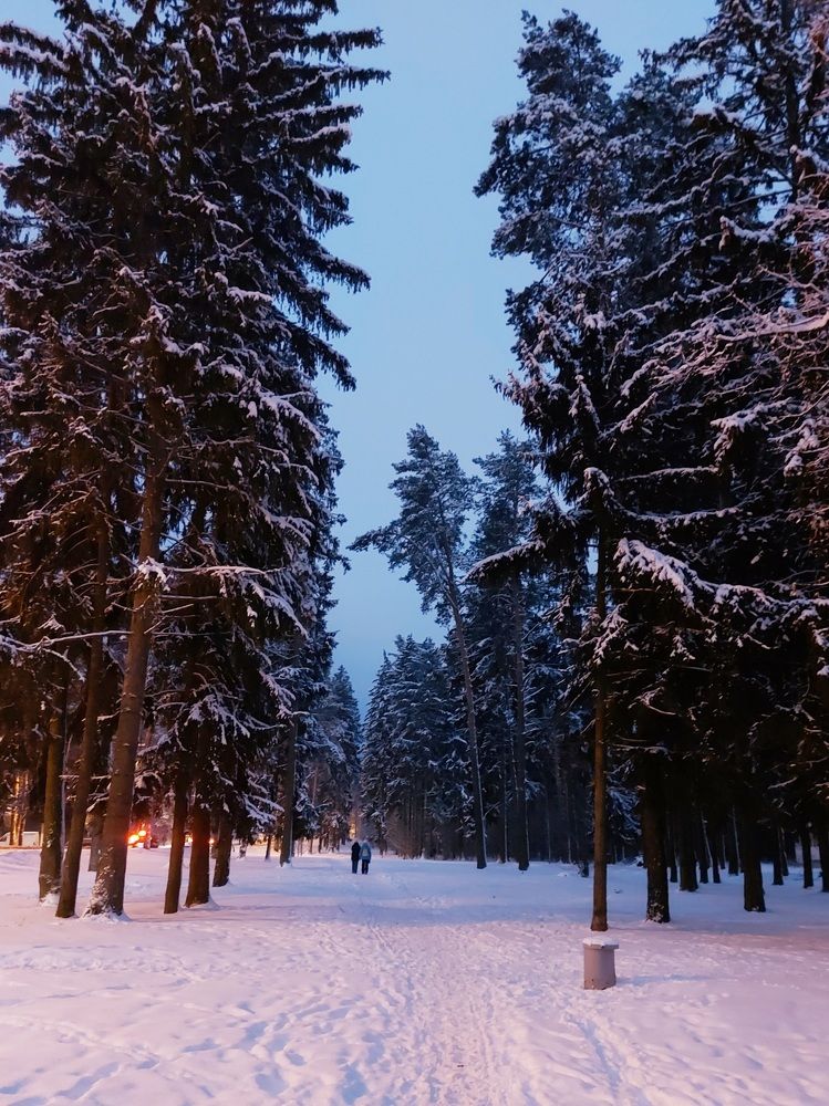 Photograph by Екатерина Мосевич