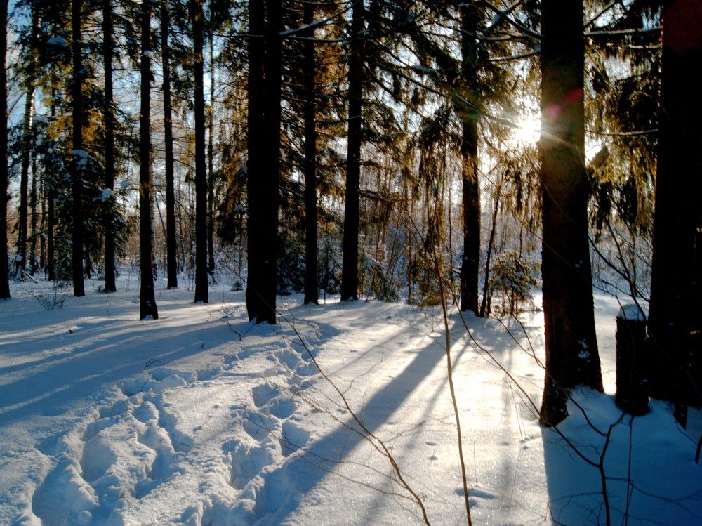 Photograph by Владимир Сивохин