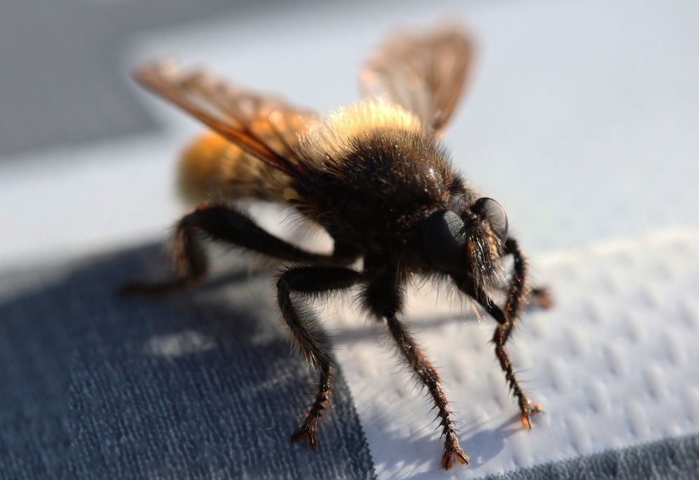 Photograph by Светлана Попкова