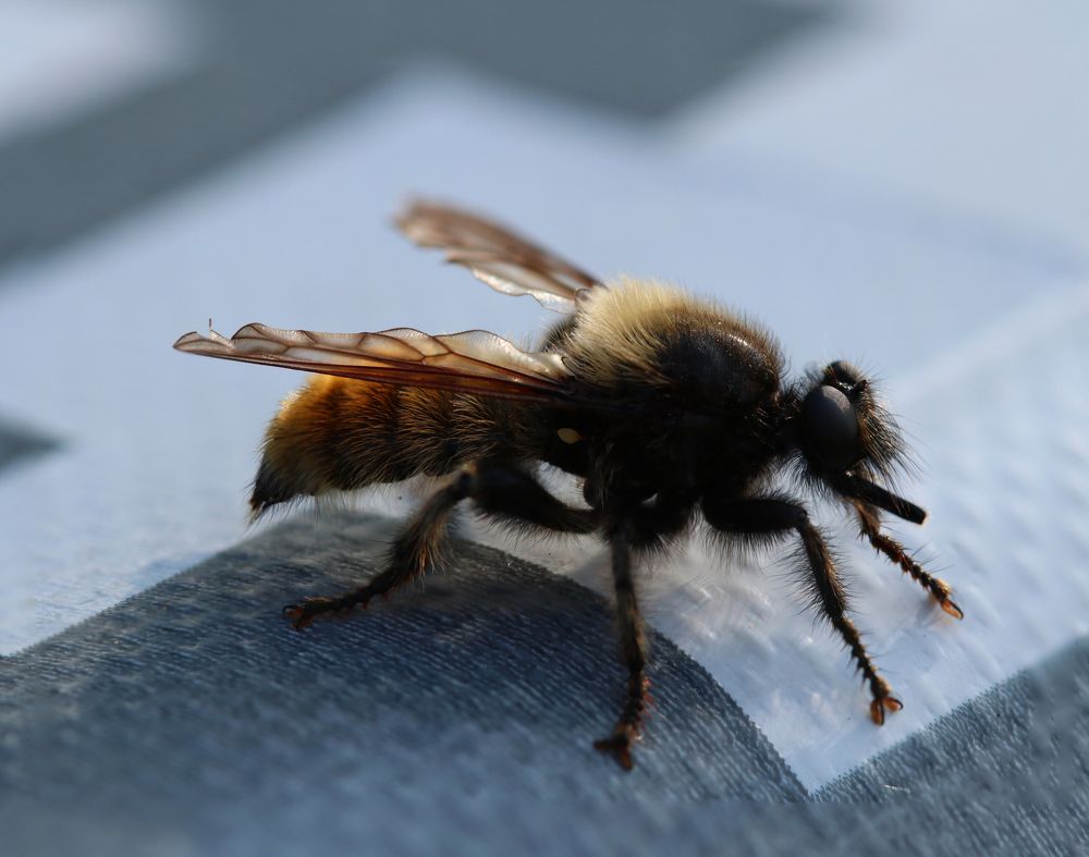 Photograph by Светлана Попкова