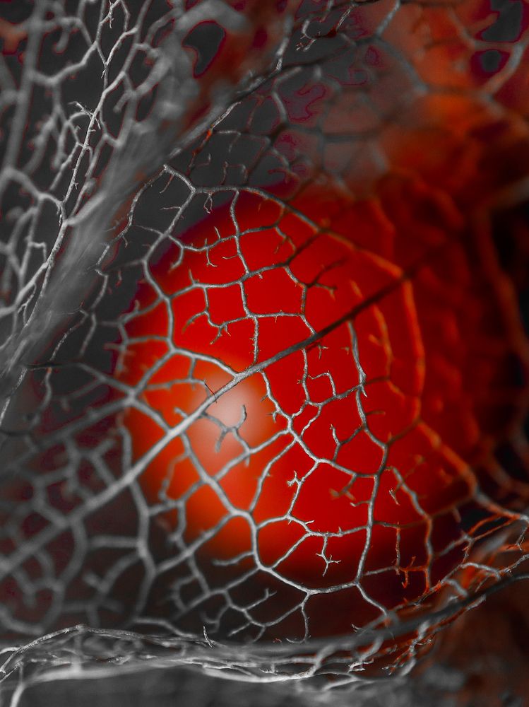 Photograph by Ирина Корабельникова