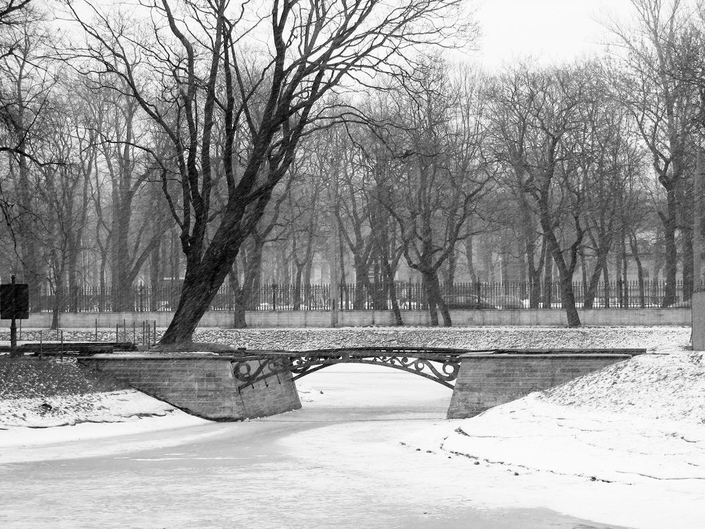 Зима в городе