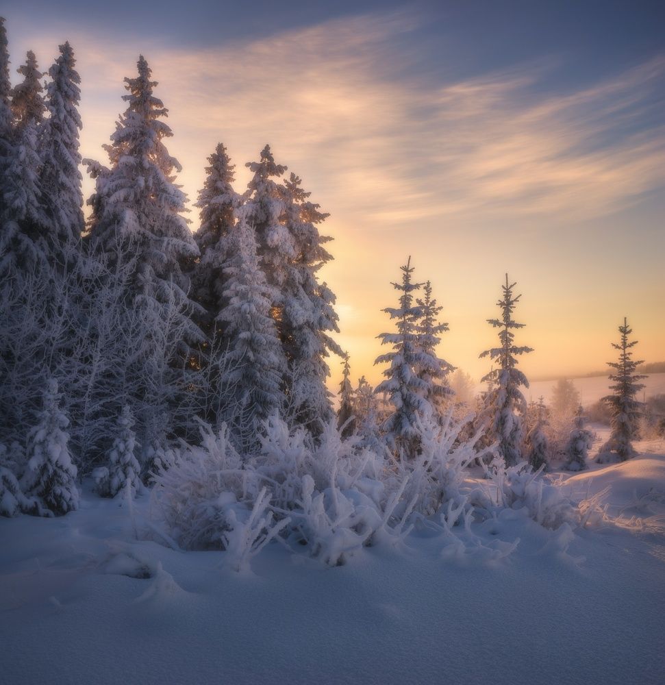 Photograph by  Михаил