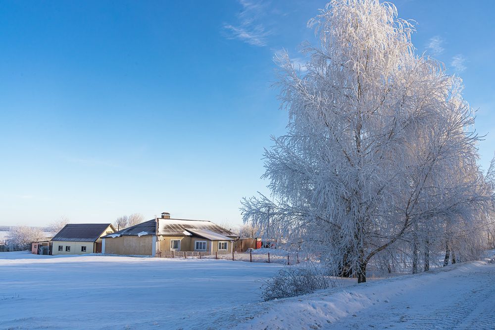 Фотография автора Николай Бологов