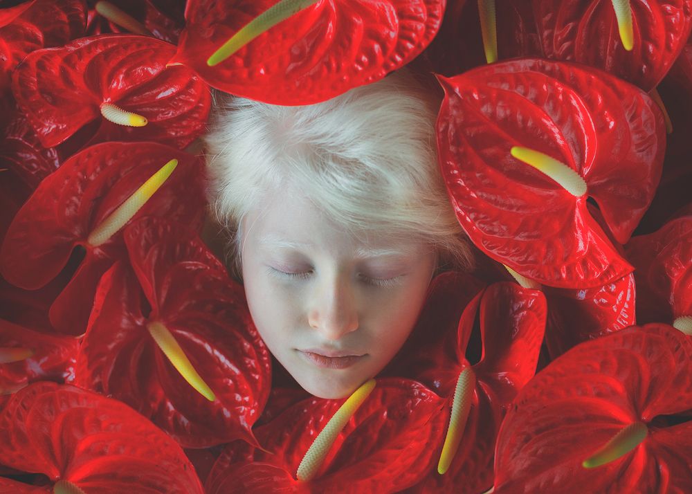 Photograph by goldis gholami