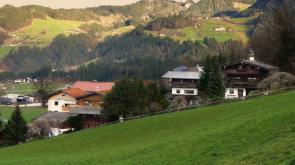 Фотография автора Андрей Неденко