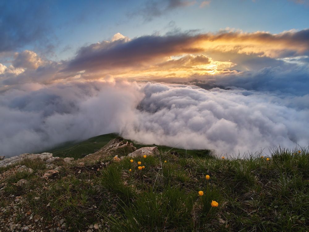 Photograph by Александр Авдушев