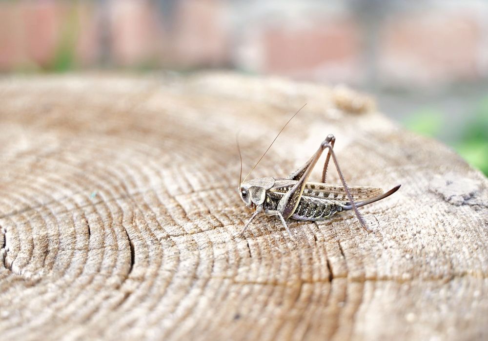 Photograph by Светлана Семенова