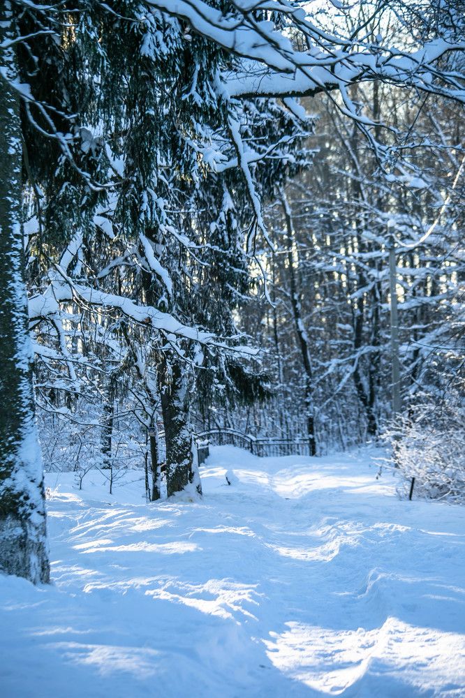 Photograph by Ольга Сафронова