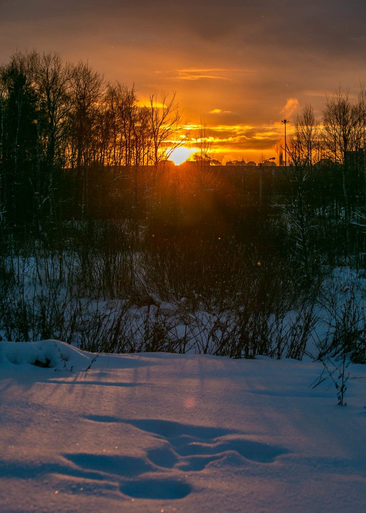 Photograph by Ольга Сафронова