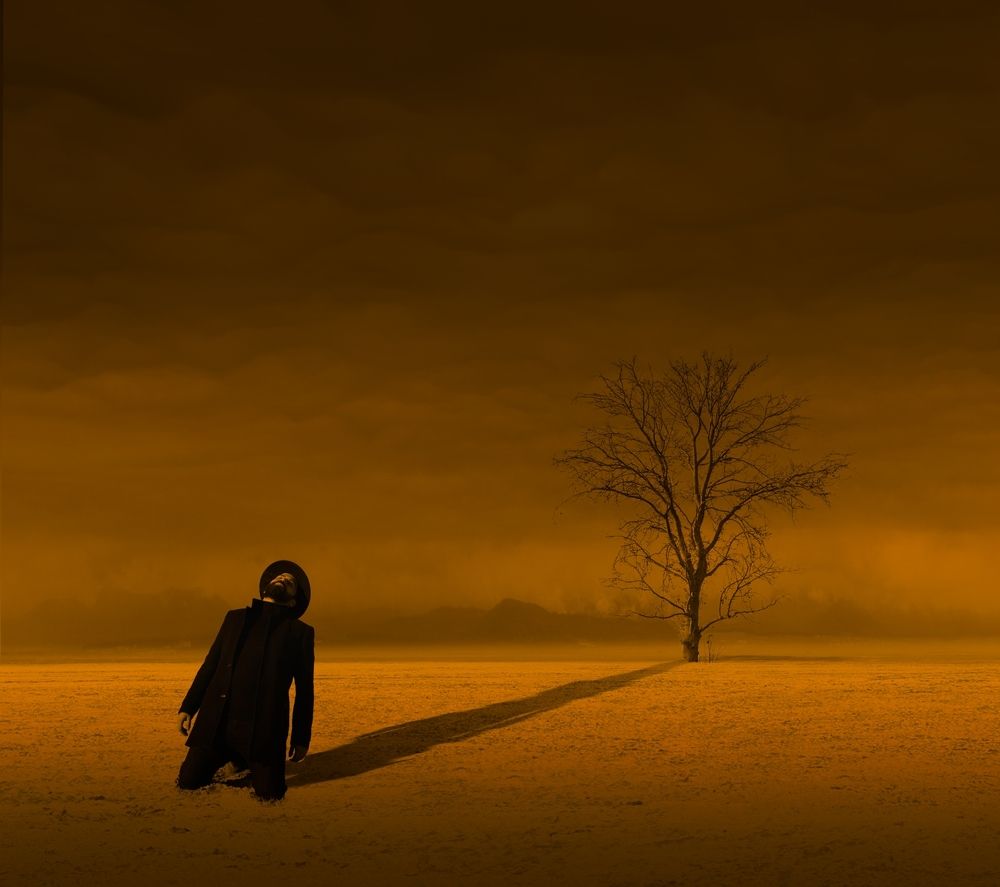 Фотография автора Alireza Bagheri sani