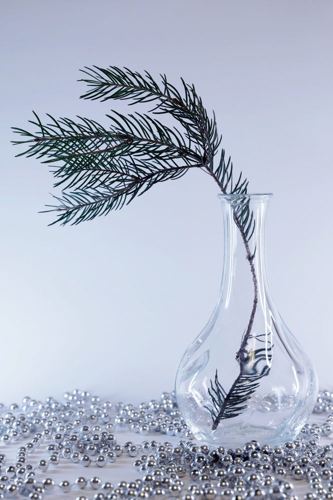 Лаконичный натюрморт с еловой веточкой (Laconic still life with a fir twig)