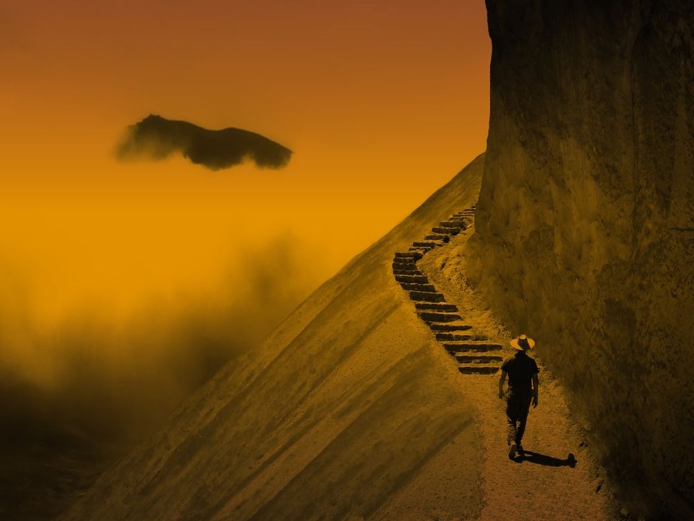 Фотография автора Alireza Bagheri sani