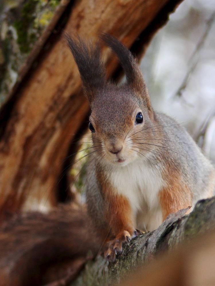 Photograph by Ольга Пилиповец