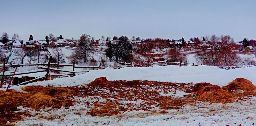 Зимнее сено