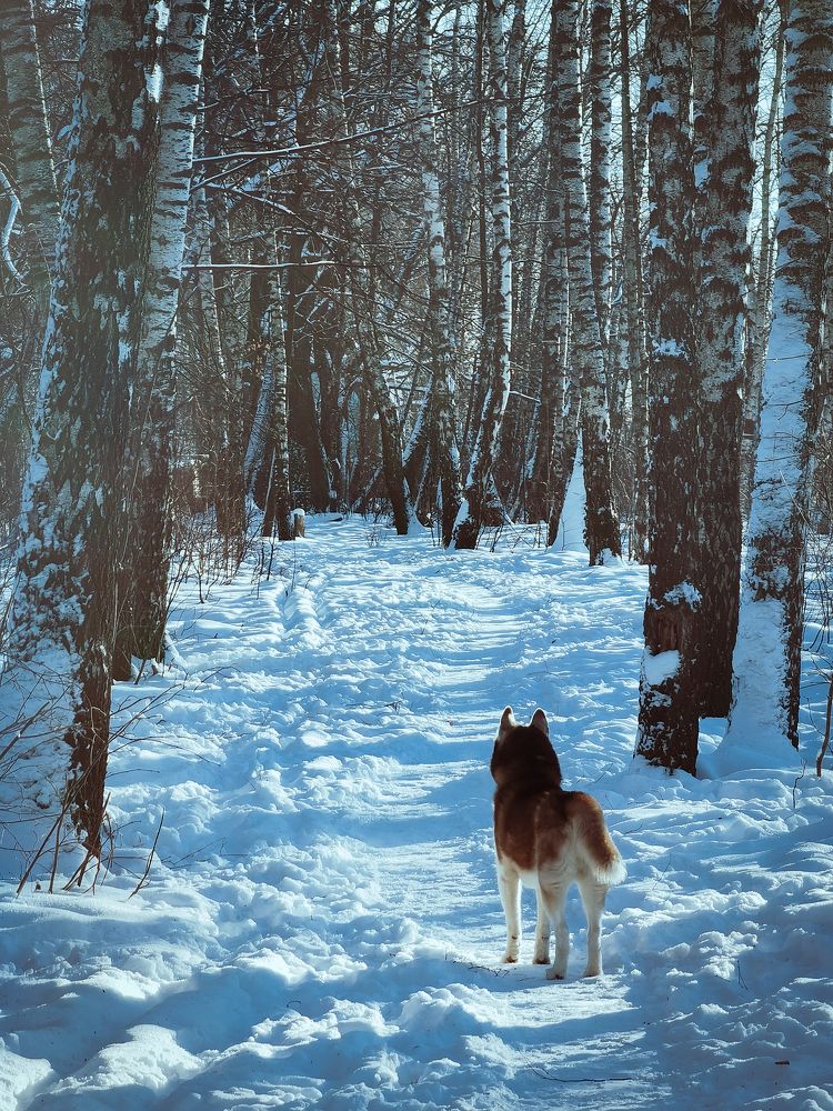 Photograph by Алексей Еремеев