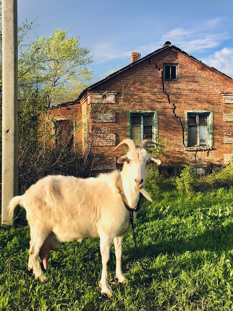 Photograph by Анастасия Волошина